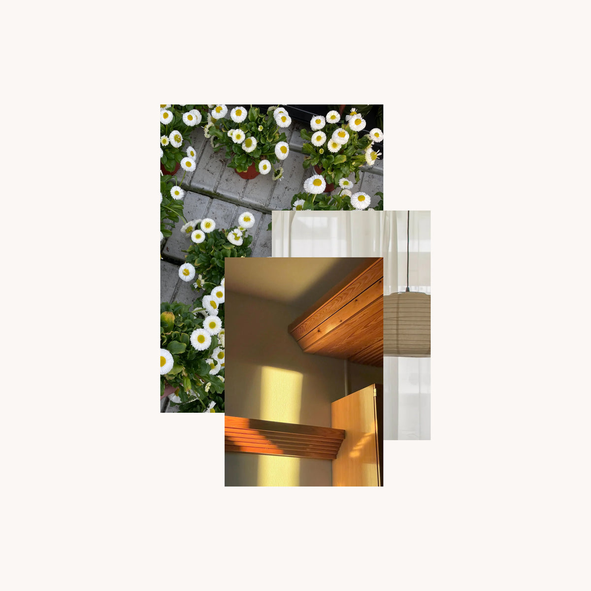 Longing for open space and soft light: the inspiration of designer ...