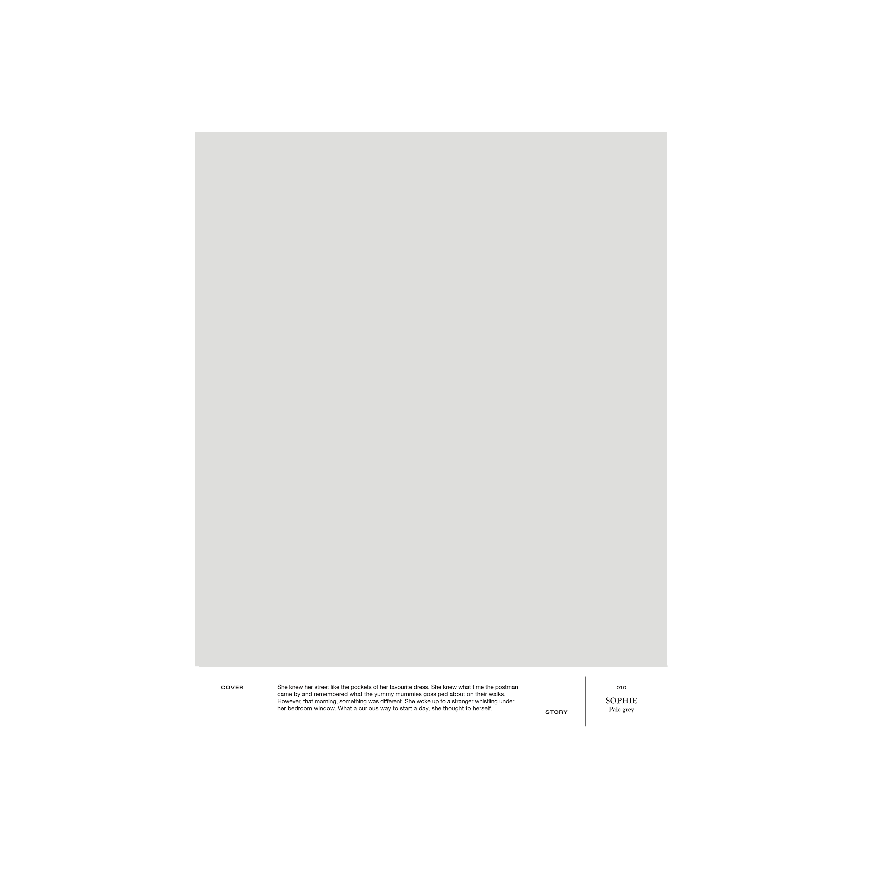 Grey paint sample set