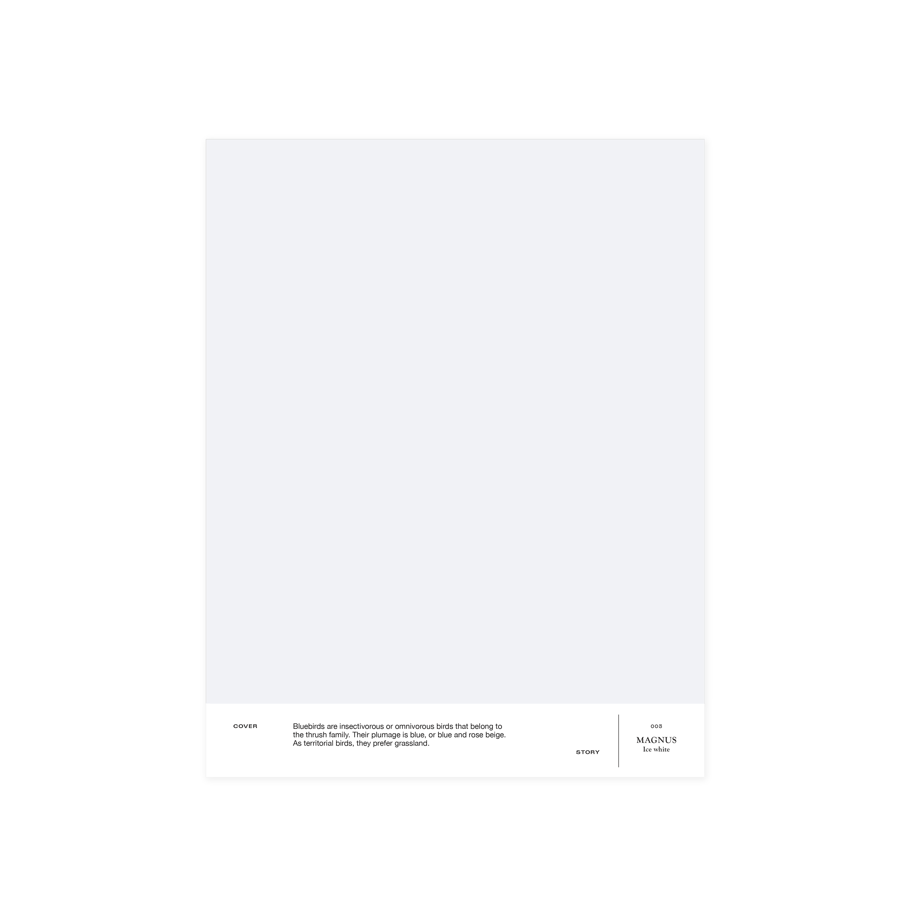 Ice white interior paint Cover Story 003 MAGNUS