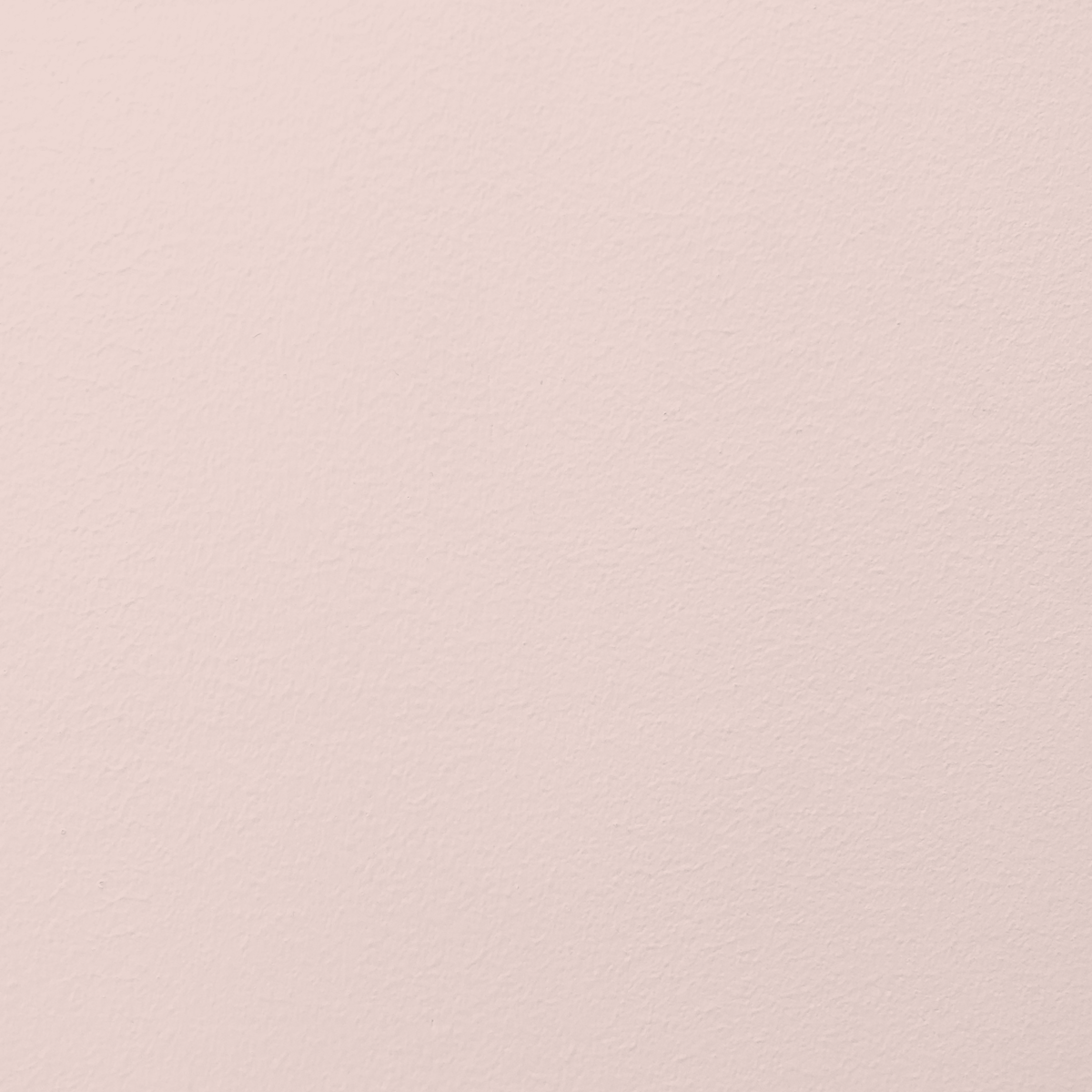 023 FRANCIS – Cold rose | Premium plastic-free interior paint