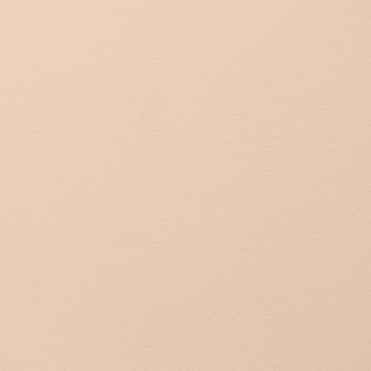 024 ANAÏS – Peachy powder | Premium plastic-free interior paint, matte ...