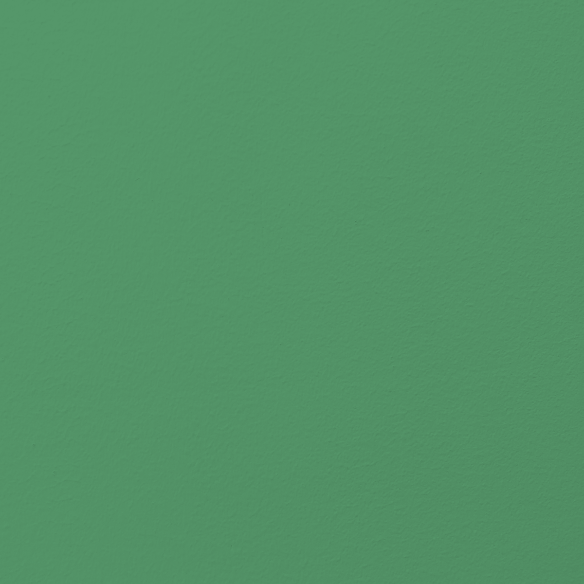 029 JACK – Mid bright green | Premium plastic-free interior paint 029 JACK – Mid bright green | Premium plastic-free interior paint