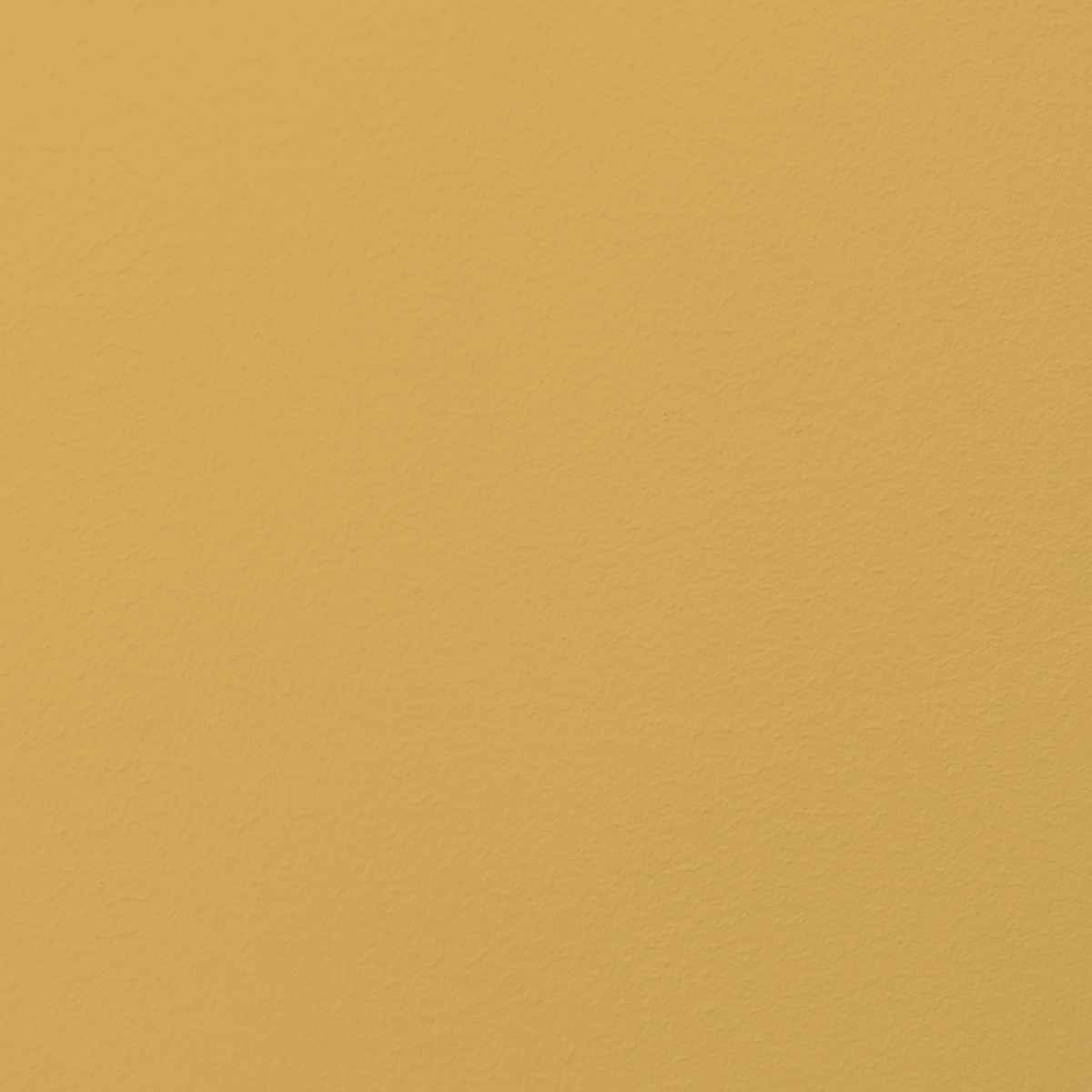 Mustard hotsell yellow light