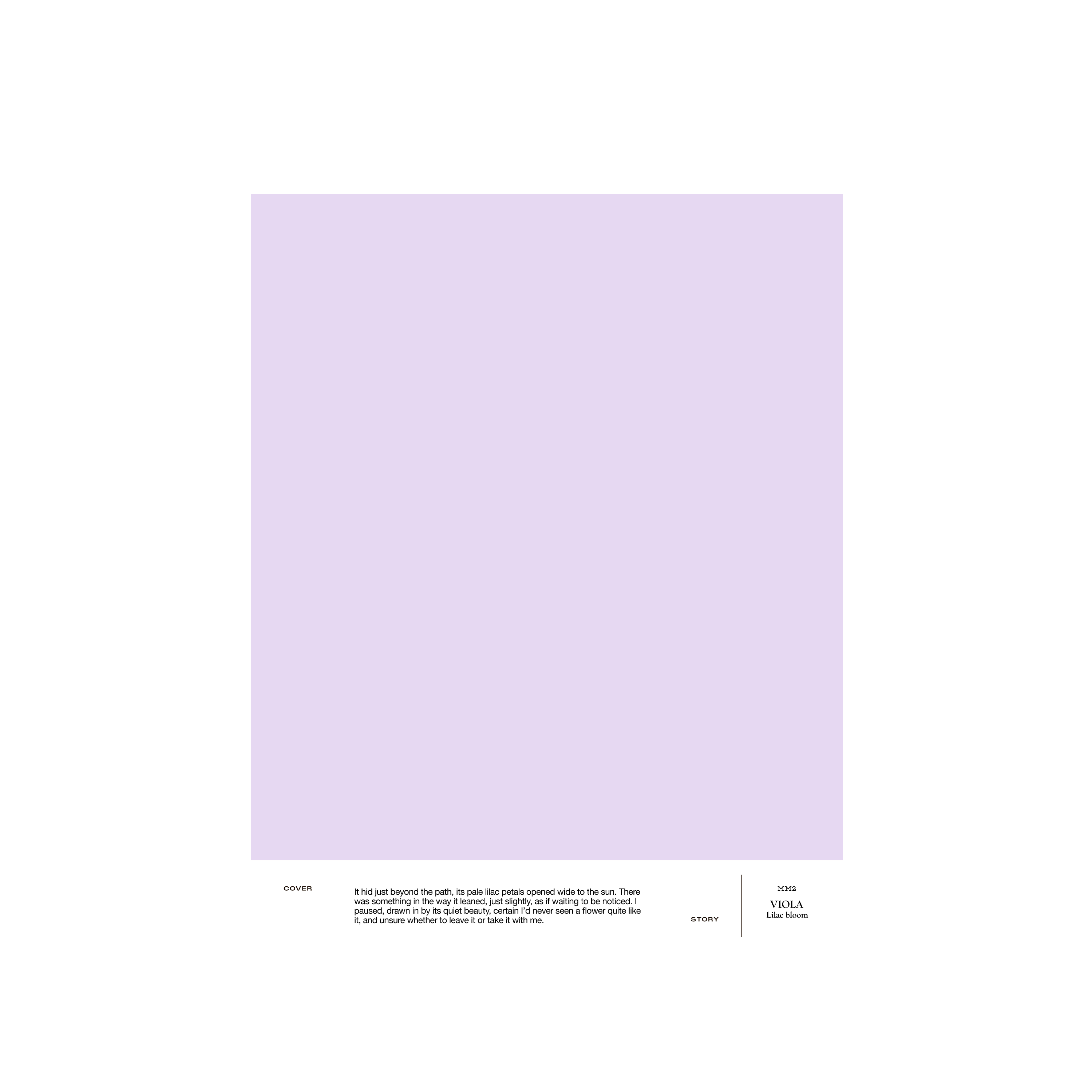 MM2 VIOLA