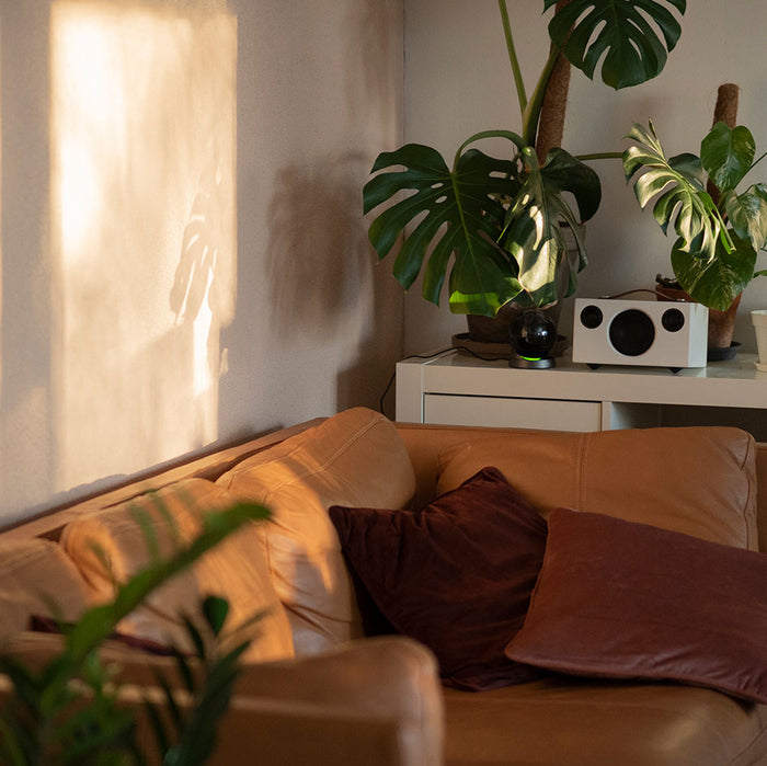 024 ANAÏS – Peachy powder | Premium plastic-free interior paint, matte ...