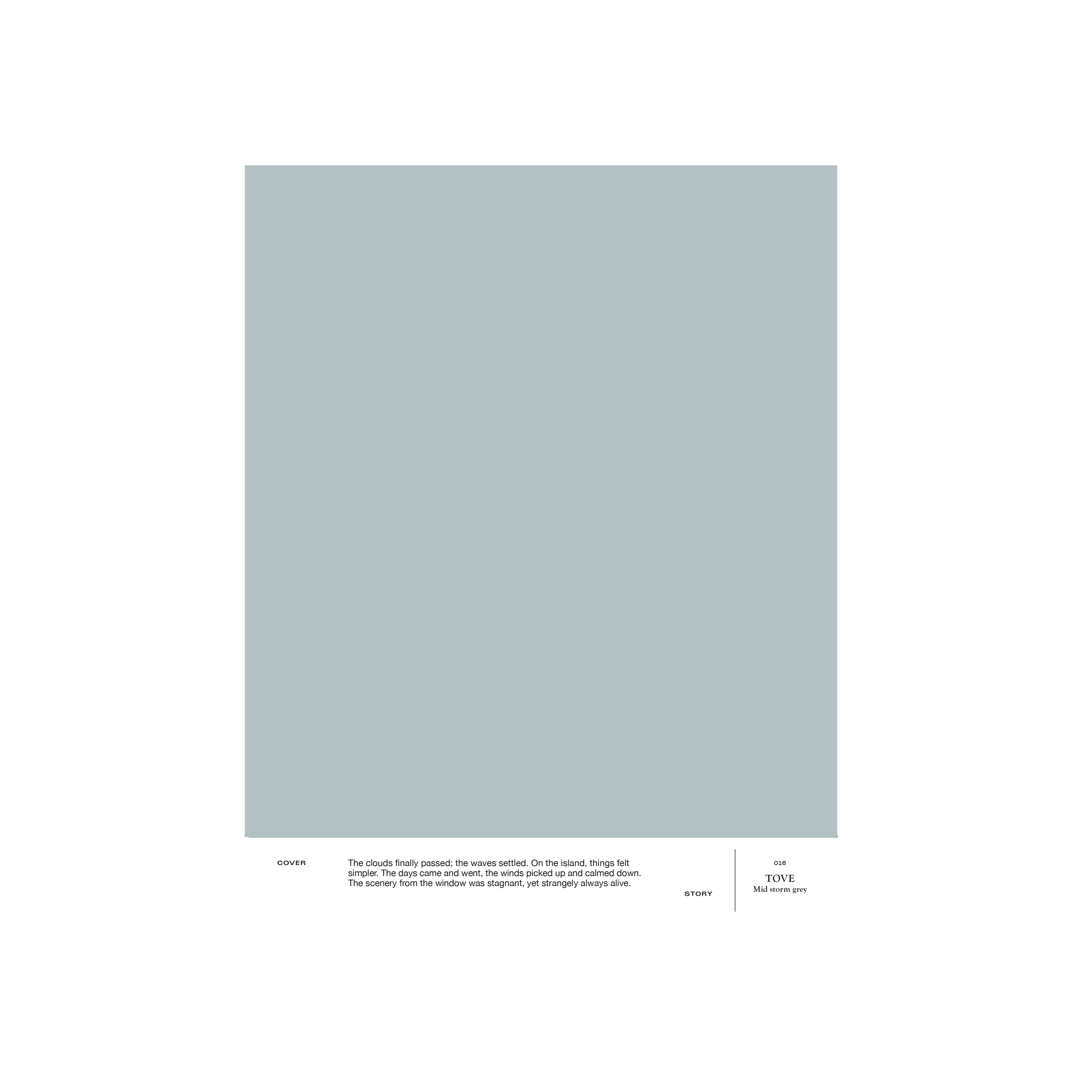 Grey blue interior paint Cover Story 016 TOVE